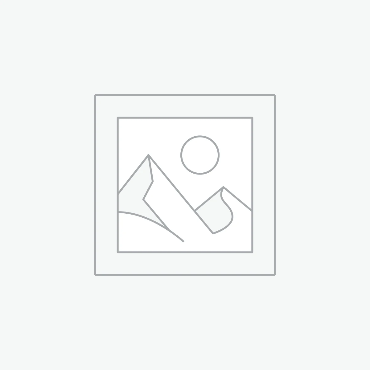 A3F Chicken Momos 500g